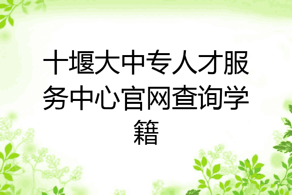 十堰大中专人才服务中心官网查询学籍