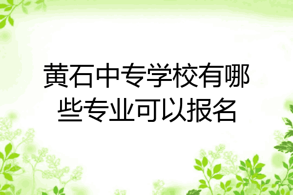 黄石中专学校有哪些专业可以报名