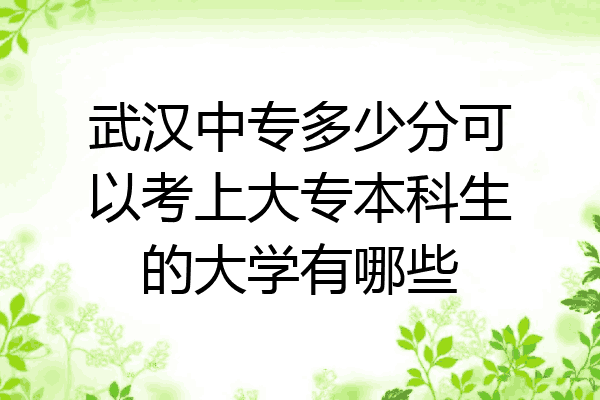 武汉中专多少分可以考上大专本科生的大学有哪些