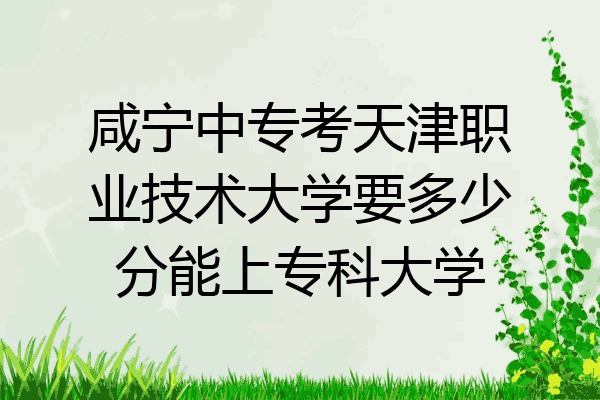 咸宁中专考天津职业技术大学要多少分能上专科大学