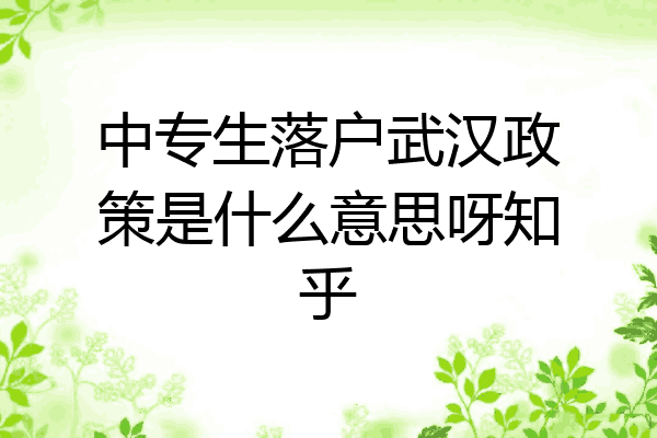 中专生落户武汉政策是什么意思呀知乎