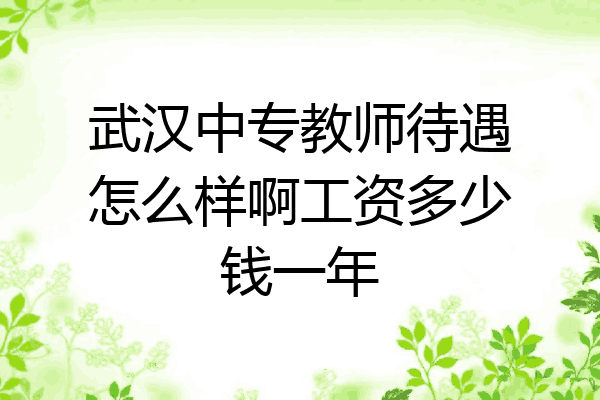 武汉中专教师待遇怎么样啊工资多少钱一年