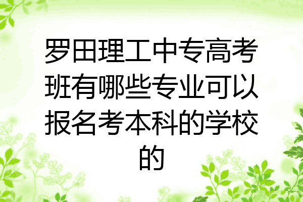 罗田理工中专高考班有哪些专业可以报名考本科的学校的