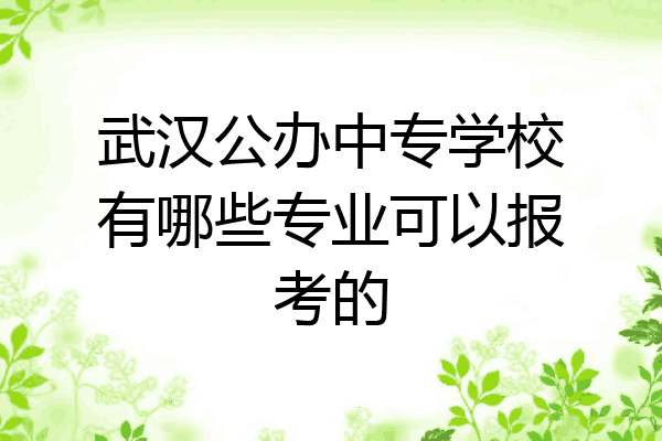 武汉公办中专学校有哪些专业可以报考的