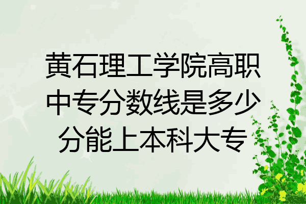 黄石理工学院高职中专分数线是多少分能上本科大专