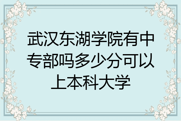 武汉东湖学院有中专部吗多少分可以上本科大学