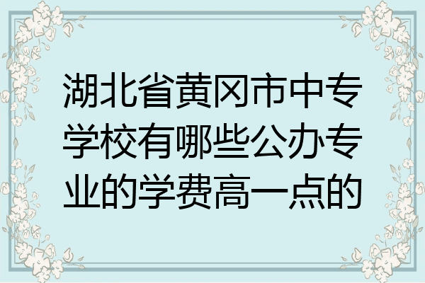 湖北省黄冈市中专学校有哪些公办专业的学费高一点的