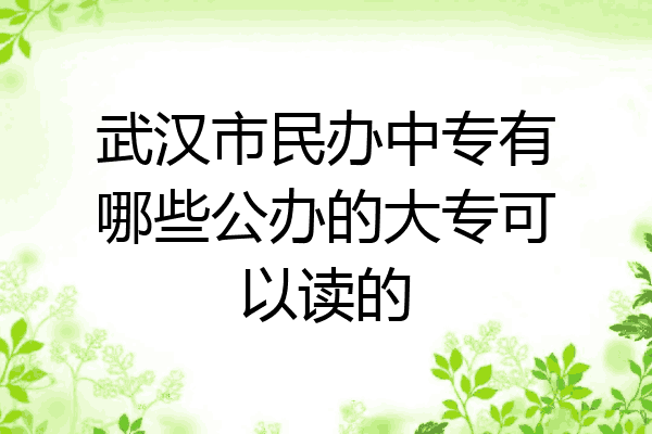 武汉市民办中专有哪些公办的大专可以读的