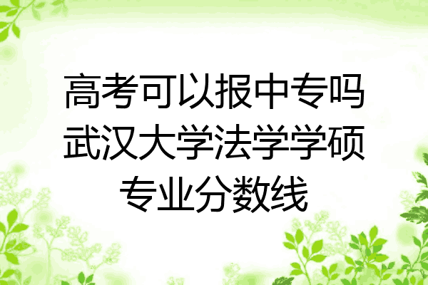 高考可以报中专吗武汉大学法学学硕专业分数线