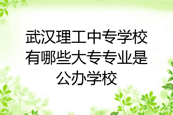 武汉理工中专学校有哪些大专专业是公办学校