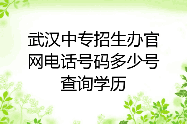 武汉中专招生办官网电话号码多少号查询学历