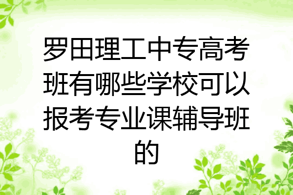 罗田理工中专高考班有哪些学校可以报考专业课辅导班的