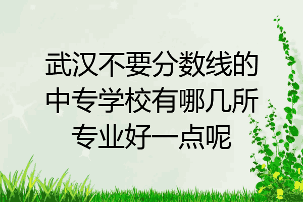 武汉不要分数线的中专学校有哪几所专业好一点呢