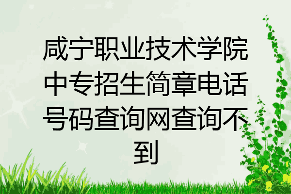 咸宁职业技术学院中专招生简章电话号码查询网查询不到