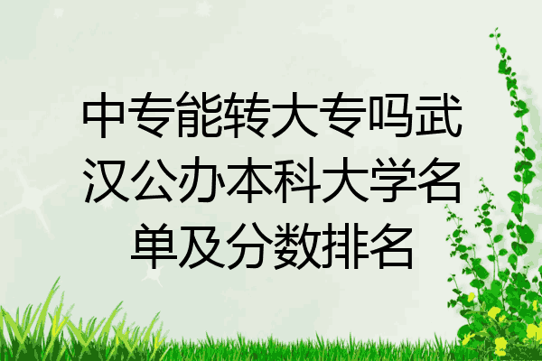 中专能转大专吗武汉公办本科大学名单及分数排名