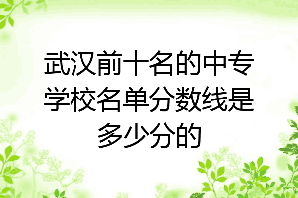 武汉前十名的中专学校名单分数线是多少分的