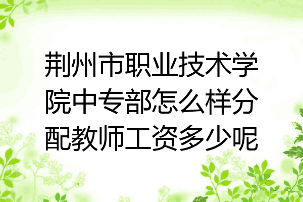 荆州市职业技术学院中专部怎么样分配教师工资多少呢