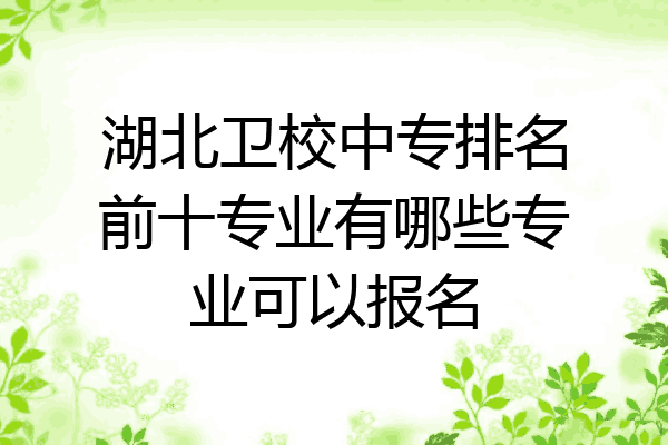 湖北卫校中专排名前十专业有哪些专业可以报名