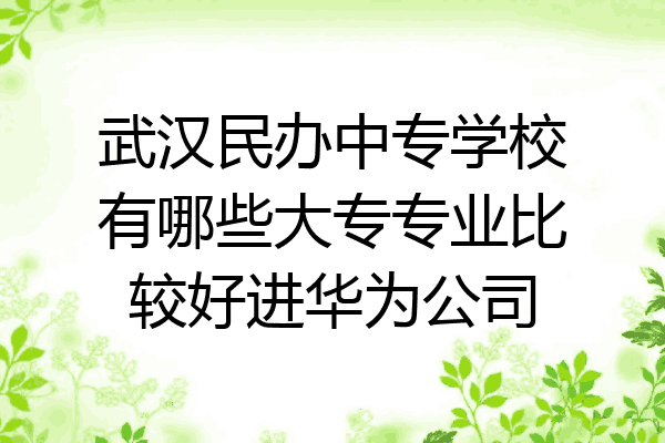 武汉民办中专学校有哪些大专专业比较好进华为公司