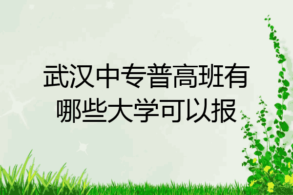 武汉中专普高班有哪些大学可以报