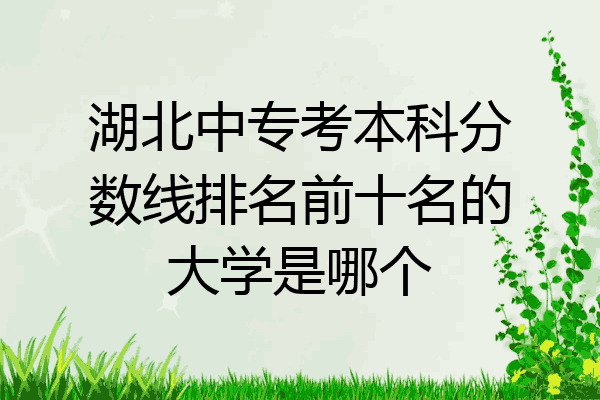 湖北中专考本科分数线排名前十名的大学是哪个