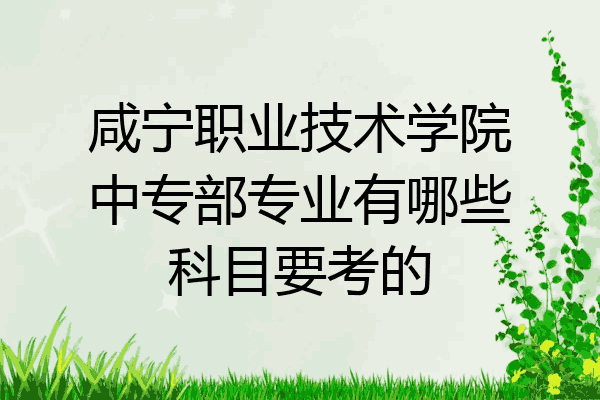 咸宁职业技术学院中专部专业有哪些科目要考的