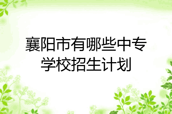襄阳市有哪些中专学校招生计划