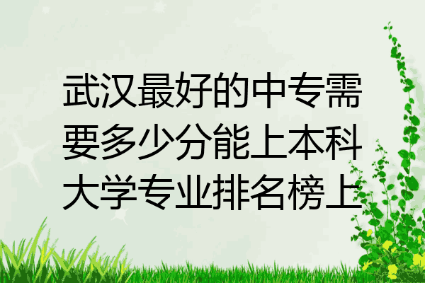 武汉最好的中专需要多少分能上本科大学专业排名榜上