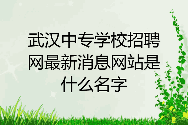 武汉中专学校招聘网最新消息网站是什么名字
