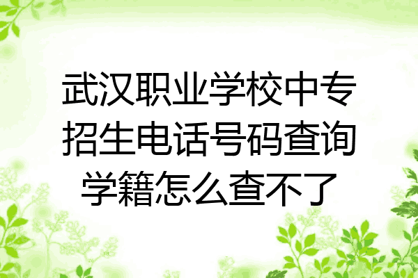 武汉职业学校中专招生电话号码查询学籍怎么查不了
