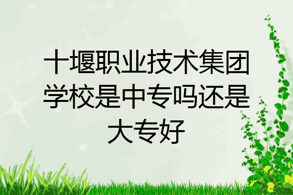 十堰职业技术集团学校是中专吗还是大专好