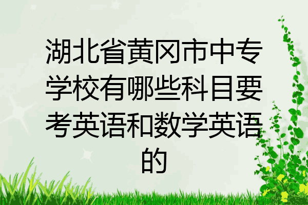 湖北省黄冈市中专学校有哪些科目要考英语和数学英语的