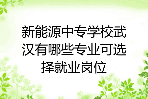 新能源中专学校武汉有哪些专业可选择就业岗位