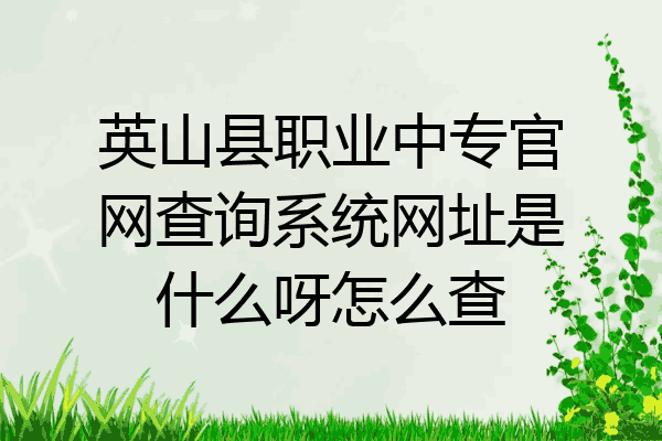 英山县职业中专官网查询系统网址是什么呀怎么查