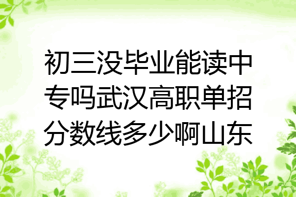 初三没毕业能读中专吗武汉高职单招分数线多少啊山东