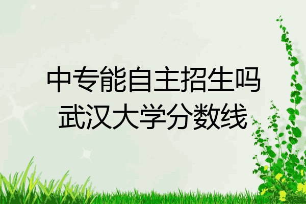 中专能自主招生吗武汉大学分数线