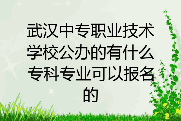 武汉中专职业技术学校公办的有什么专科专业可以报名的