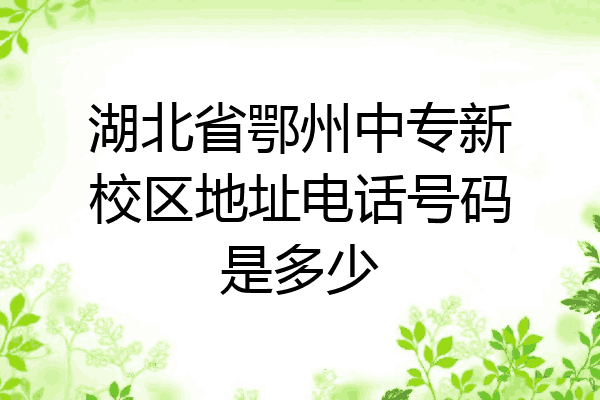 湖北省鄂州中专新校区地址电话号码是多少