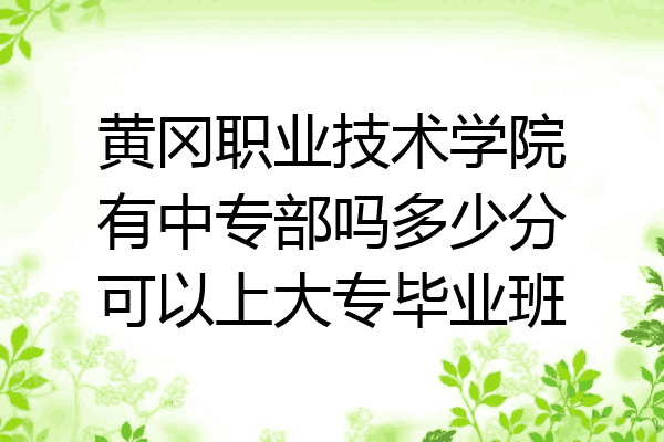 黄冈职业技术学院有中专部吗多少分可以上大专毕业班