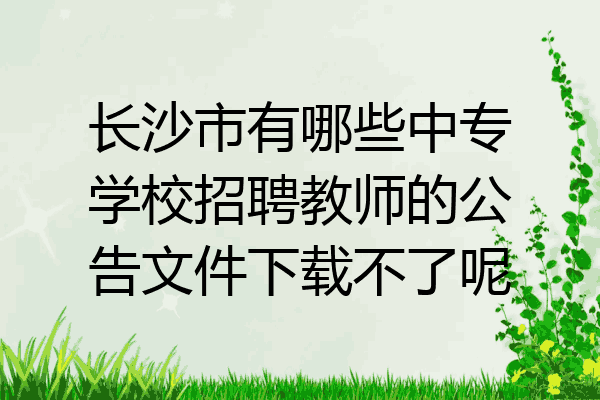 长沙市有哪些中专学校招聘教师的公告文件下载不了呢