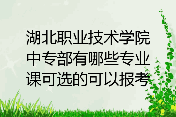湖北职业技术学院中专部有哪些专业课可选的可以报考