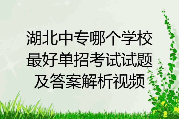 湖北中专哪个学校最好单招考试试题及答案解析视频