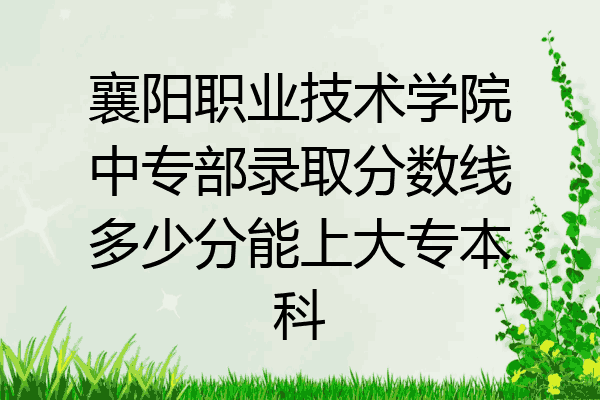 襄阳职业技术学院中专部录取分数线多少分能上大专本科