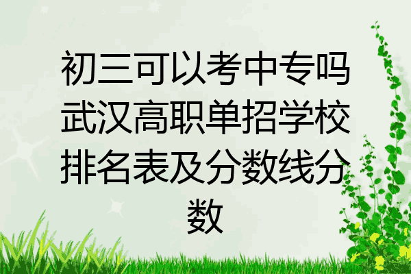 初三可以考中专吗武汉高职单招学校排名表及分数线分数