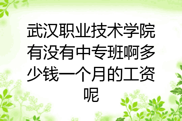 武汉职业技术学院有没有中专班啊多少钱一个月的工资呢
