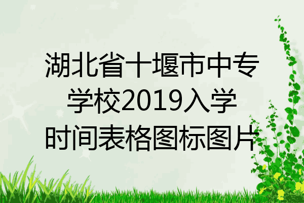湖北省十堰市中专学校2019入学时间表格图标图片