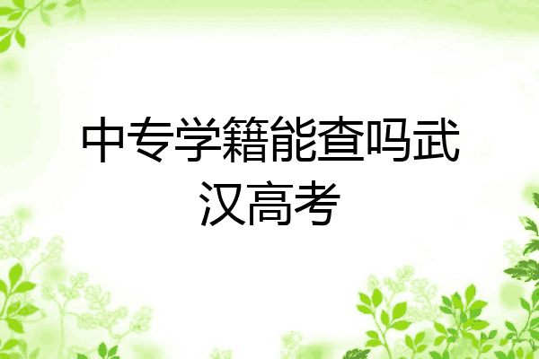 中专学籍能查吗武汉高考