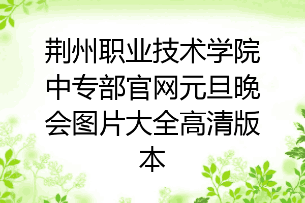 荆州职业技术学院中专部官网元旦晚会图片大全高清版本