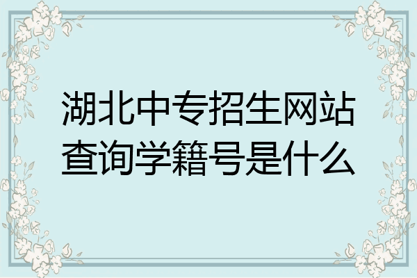 湖北中专招生网站查询学籍号是什么