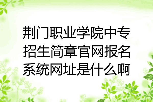 荆门职业学院中专招生简章官网报名系统网址是什么啊